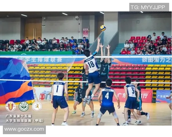 南京排球队在排球状态排行榜中荣登第七名展现强劲实力与潜力