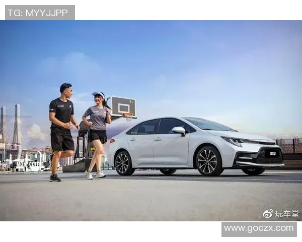 南京排球队以77分稳居洲际杯积分榜首位展现强劲实力