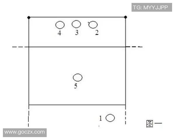 杭州排球队战术解析：从技术细节到团队协作的全面探讨